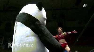 My new favourite spot it wrestling