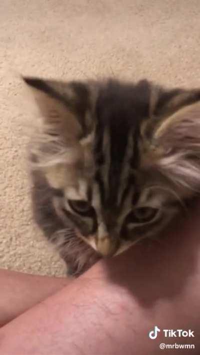 It was worth waiting until the end.