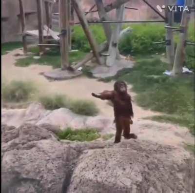 I’m Not Afraid of The Darkness! ( Sound ON )