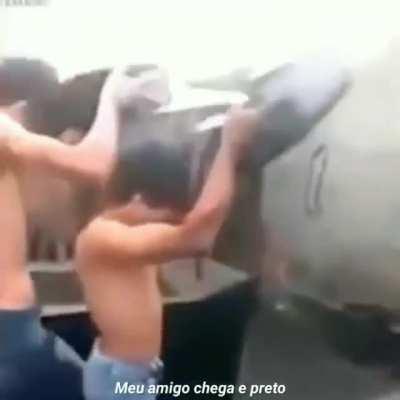 Ignorantes em seu habitat natural