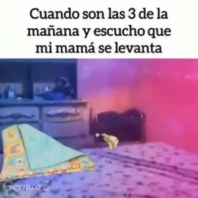 yo😴elvr