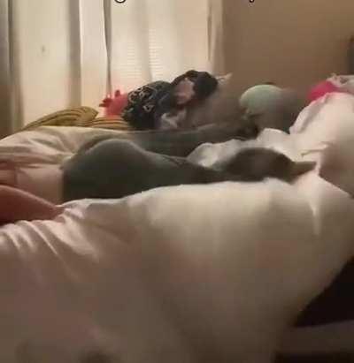 Its not only boob physics, its but physics also