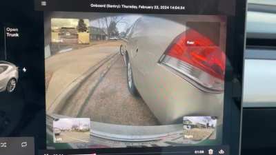 Something tells me she's done this before...