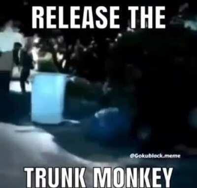 So guys, we did it . We killed a kid with a monke