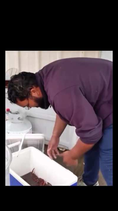 I don't think he'll ever trust Mark again.