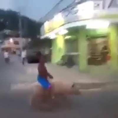 Montapuercas ecuatoriano