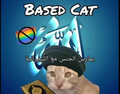 Another based animal destroys cringe whitoid