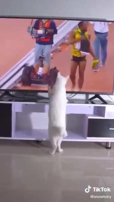 Cat trips people with his powers.