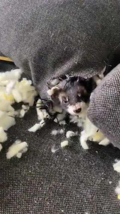 Oh hi there, didnt expect you so soon