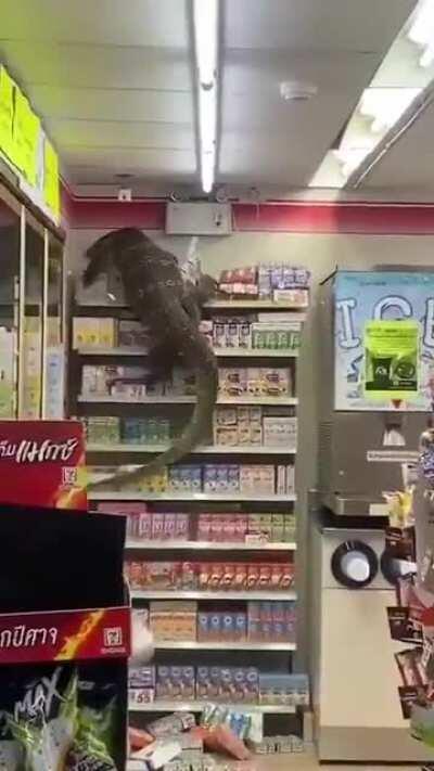 Great. now I have to add dinosaurs to the list of reasons why I’m scared to go into 7Eleven