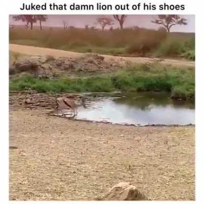 The Dust Trail is Just a Cherry on Top.