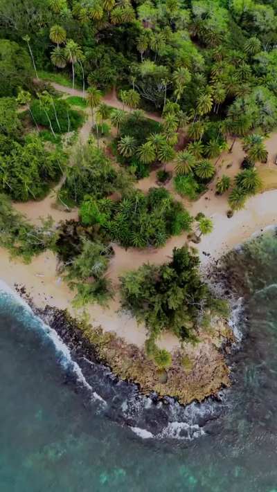 Favorite shots during my trip to Oahu 🏝️