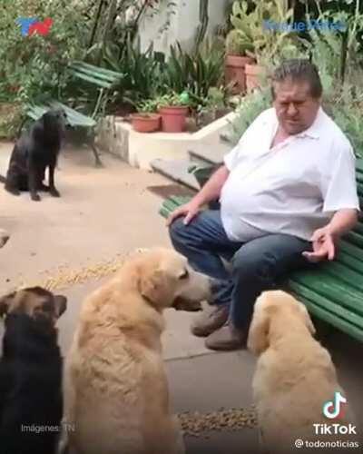 Esos perros son más educados que todos los argentinos juntos