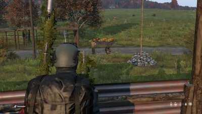 Testing Suicide with Rubber Slugs