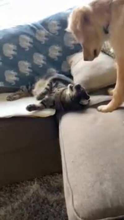 The story of an amazing friendship.