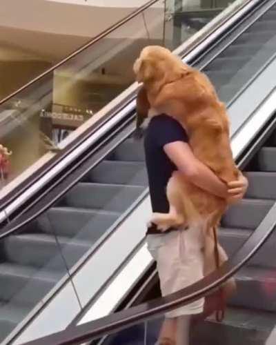 This video is too heckin precious