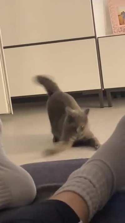 just received fresh instructions from greebles mothership