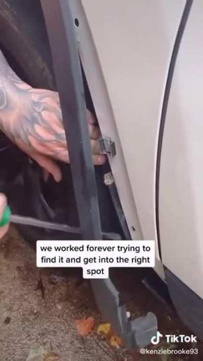 Savage Smuggler serendipitously covers kitty in car camouflage