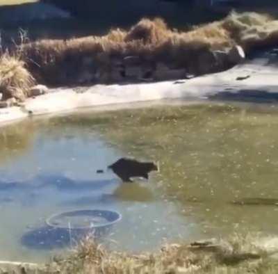 When you know your post isn’t gonna catch enough upvotes for front page!