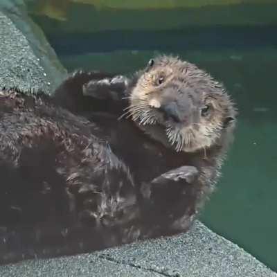 Quatse and the moth! She looks startled then curious about this strange creature!