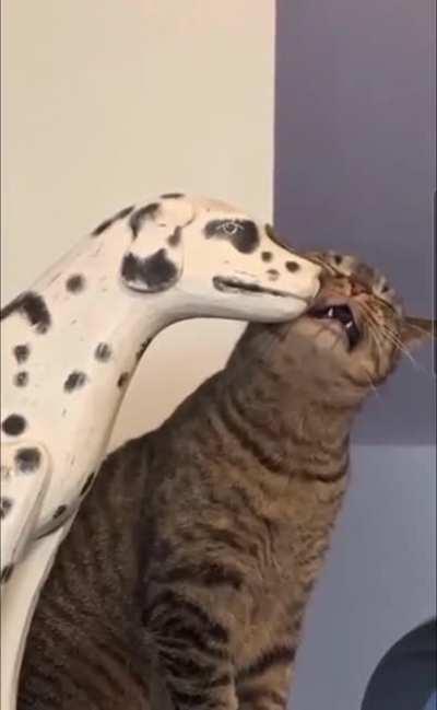 Any guesses as to what she might be imagining?