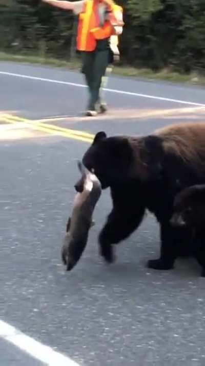 A mother bear her cub, and dinner passing through.