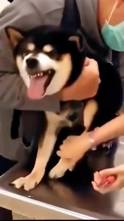 Everyone is sometimes crazy