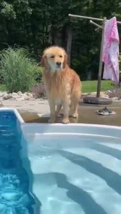 Why Did You Do This.