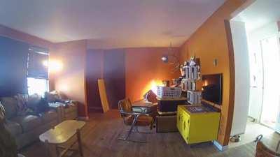 Dog knocks over an iron and starts a fire