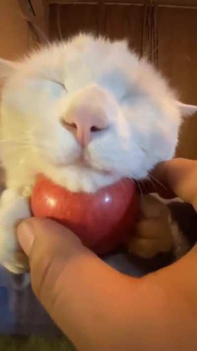 wunk llost him apple 😢