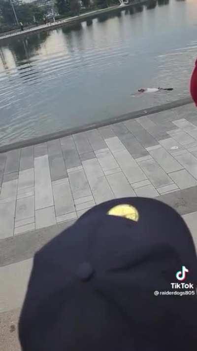 Fan from Fresno State KOs self diving into SOFI River