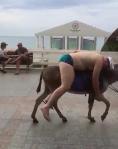 Who needs a tesla when you have a self driving donkey