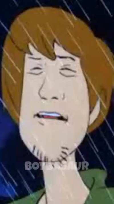 Shaggy breakin stuff