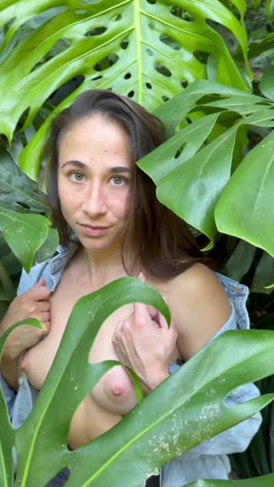 Come find me in a field of lush monsteras!