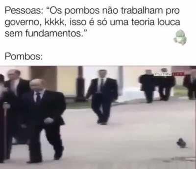 Suspeitei desde o principio.