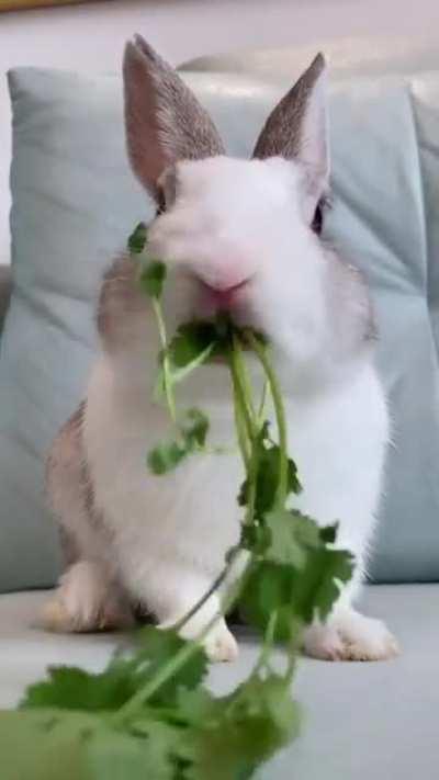 So satisfying like Asmr