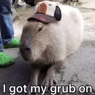 Wow, literalmente yo!