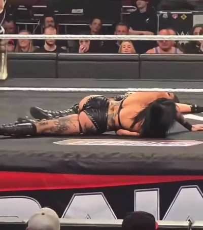 understood the assignment