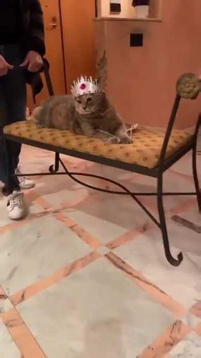 The Queen approaches