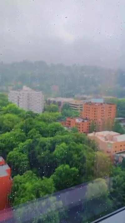 Portland Rain