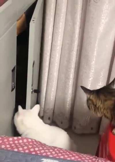 Take notes I'm going to show you where they keep the good snacks