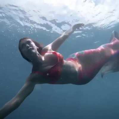 Mermaid gif