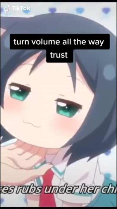 Names for the two animes?