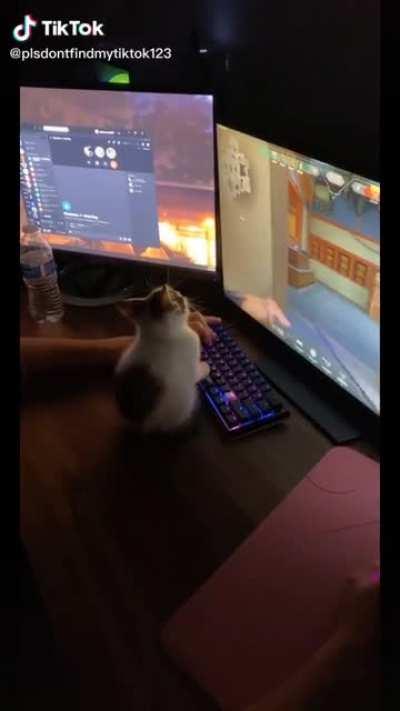 Supportive gaming buddy