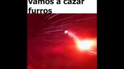 vamos a cazar furros