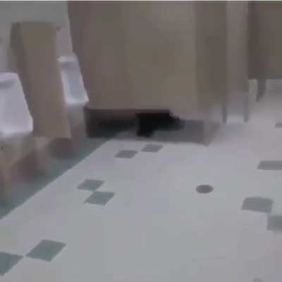 i have no idea what i witnessed