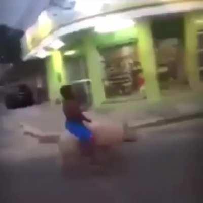 HOOOOOOOGGGGG RIDAAAAAA