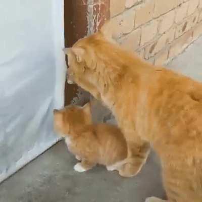 Whatever, I don't care about you