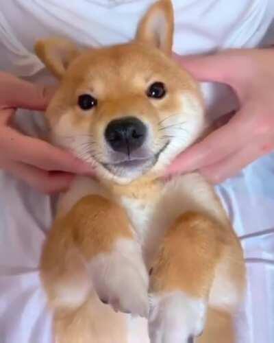 Немного милоты