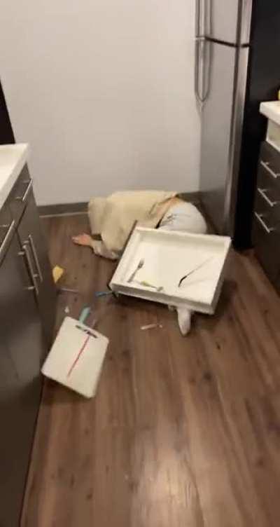 HMC while I play around drunkenly